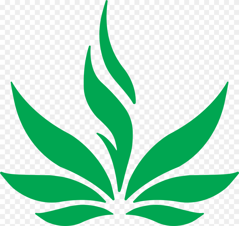 Clip Art, Plant, Pattern, Leaf, Green Png Image