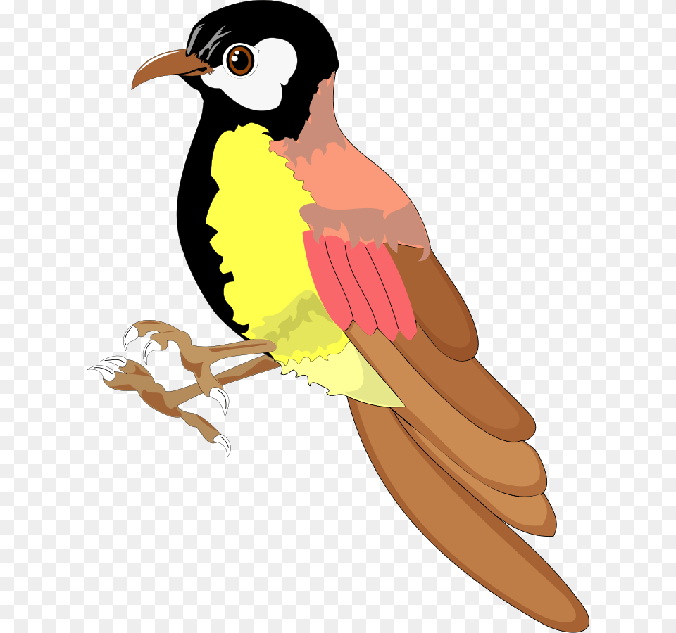 Clip Art, Animal, Beak, Bird, Person Free Transparent Png