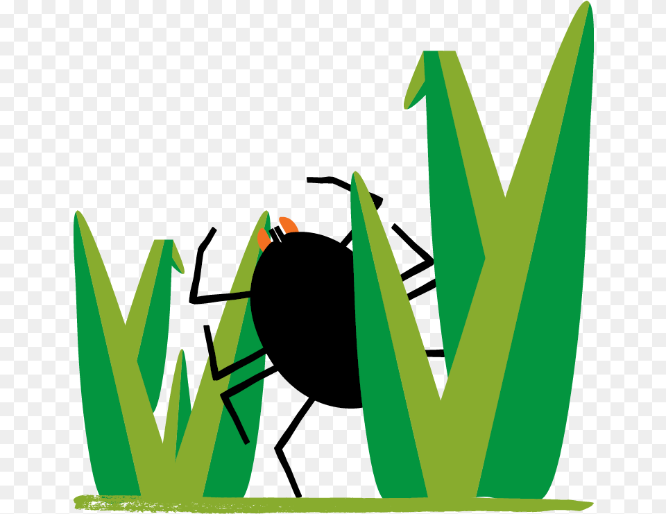 Clip Art, Green, Animal Free Png