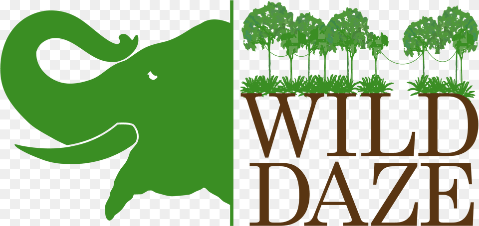 Clip Art, Green, Plant, Vegetation, Herbs Png Image
