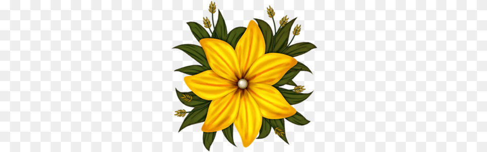 Clip Art, Plant, Flower, Daffodil, Petal Free Png Download