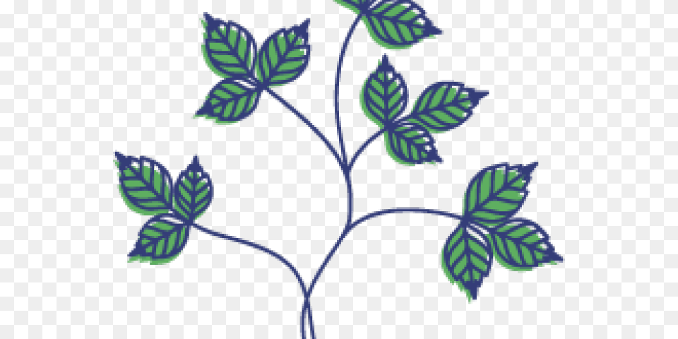 Clip Art, Leaf, Plant, Pattern, Herbal Free Png Download