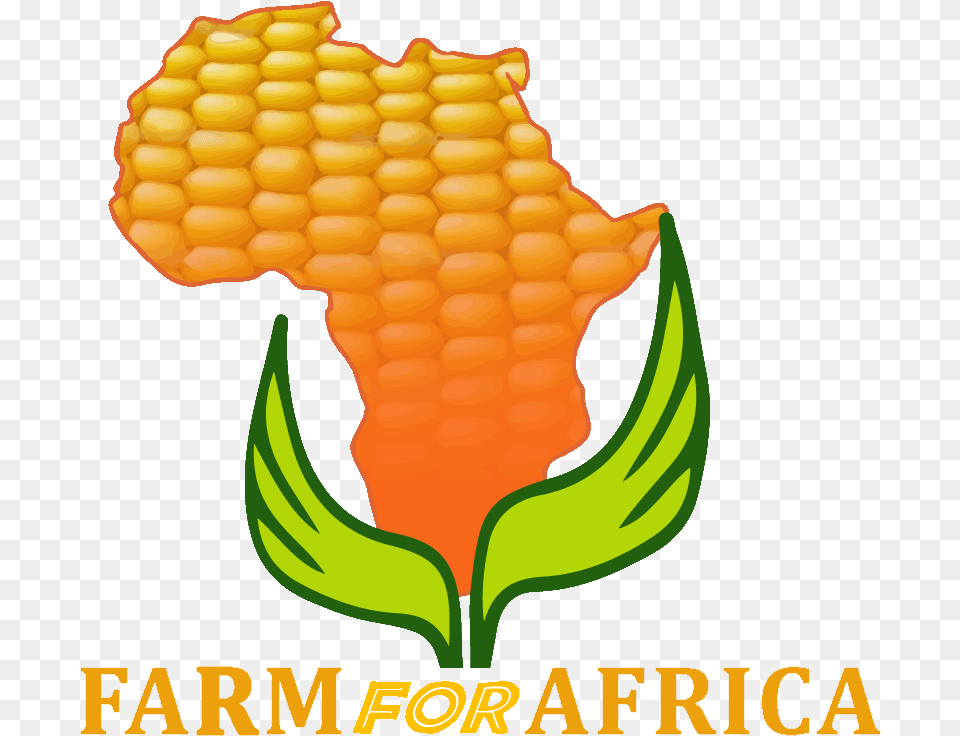 Clip Art, Corn, Food, Grain, Plant Png