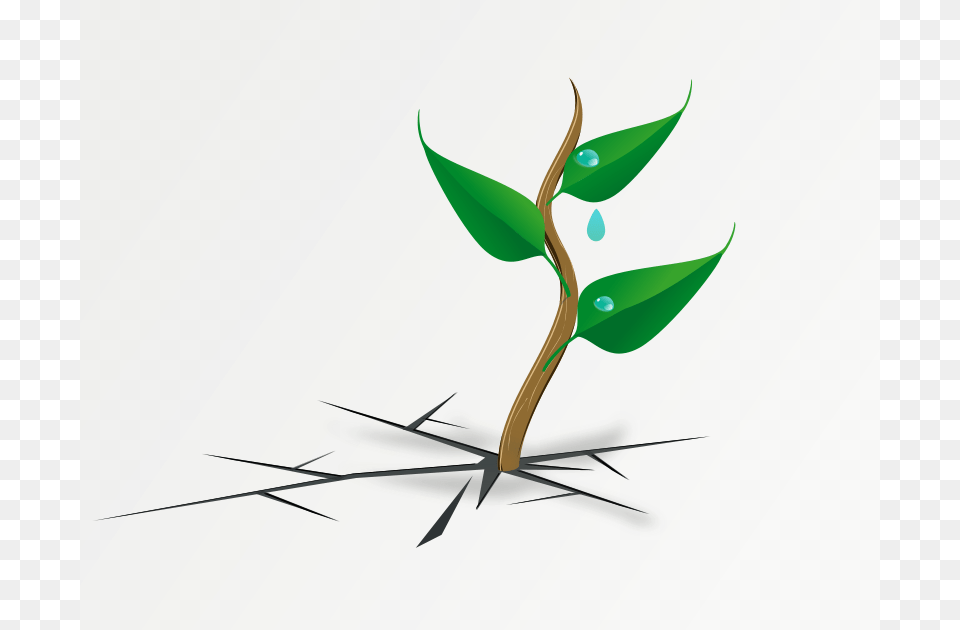 Clip Art, Leaf, Plant, Sprout, Animal Png