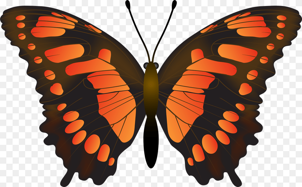Clip Art, Animal, Butterfly, Insect, Invertebrate Png