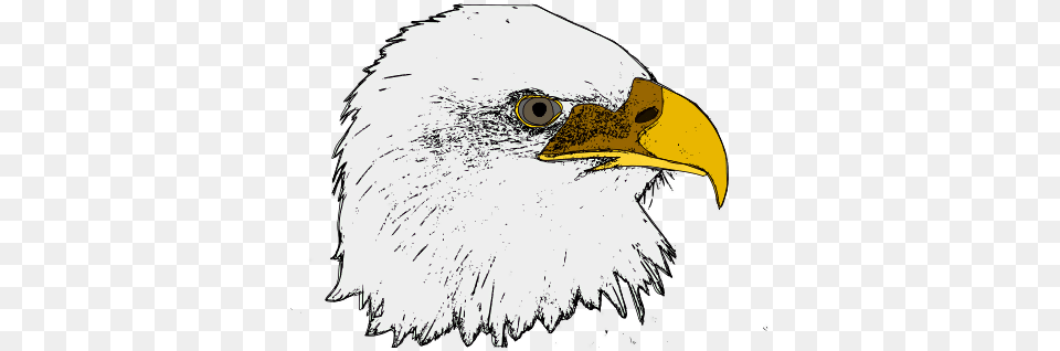 Clip Art, Animal, Beak, Bird, Eagle Png