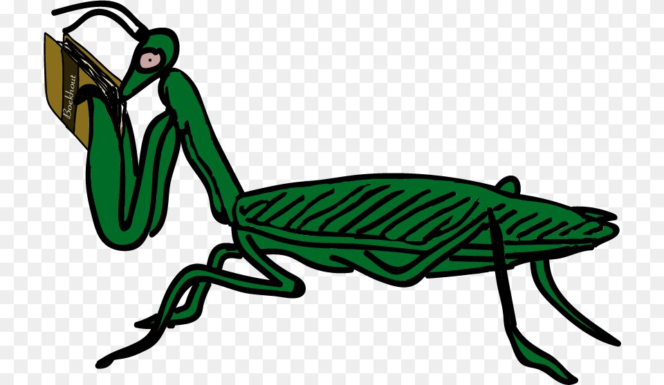 Clip Art, Animal, Grasshopper, Insect, Invertebrate Png