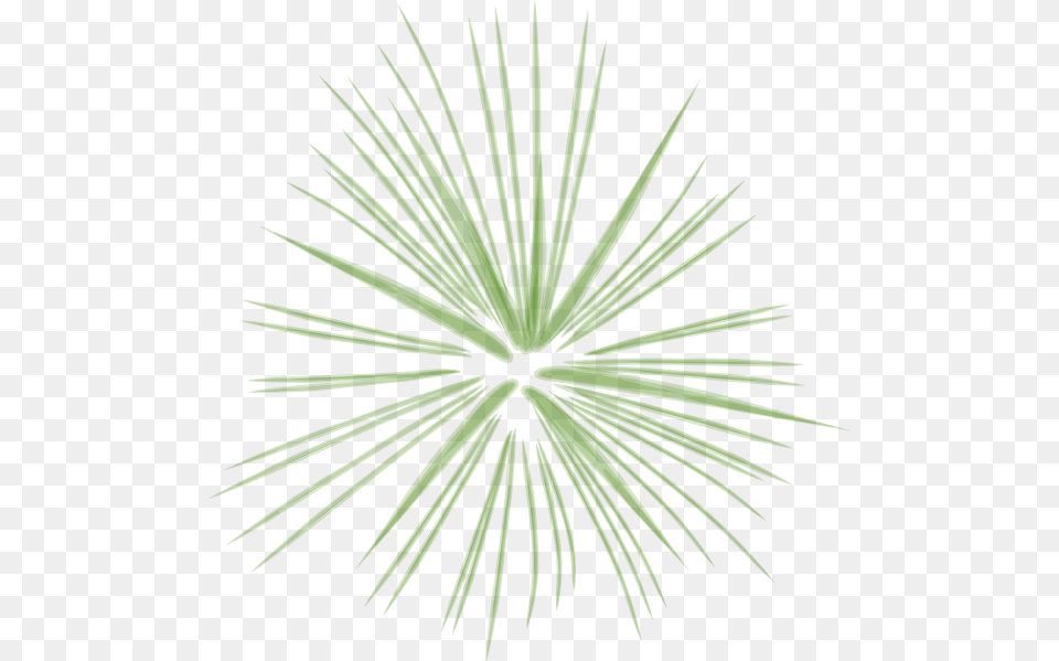 Clip Art, Leaf, Palm Tree, Plant, Tree Free Transparent Png