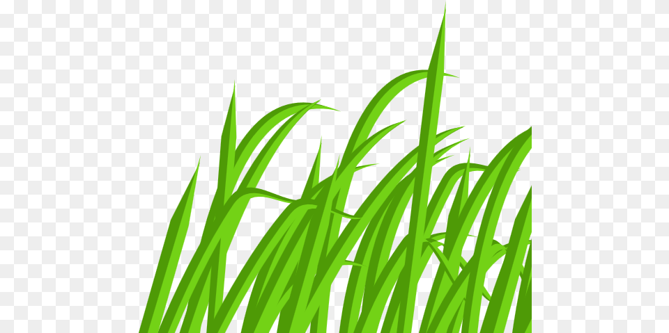 Clip Art, Grass, Green, Plant, Vegetation Free Transparent Png