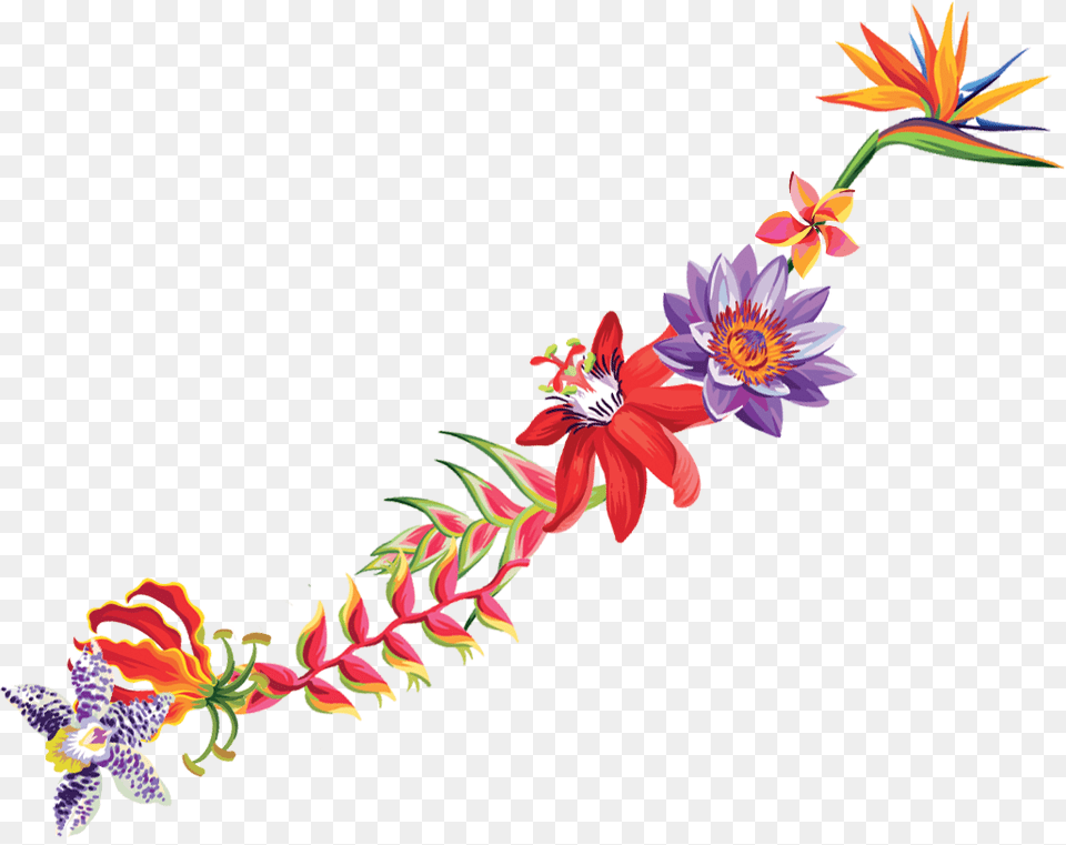 Clip Art, Floral Design, Graphics, Pattern, Flower Free Transparent Png