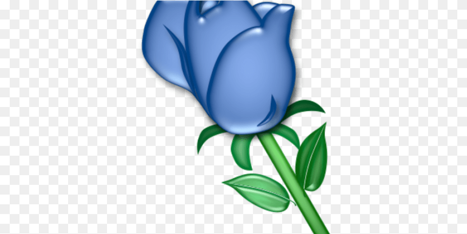 Clip Art, Flower, Plant, Rose, Tulip Png Image