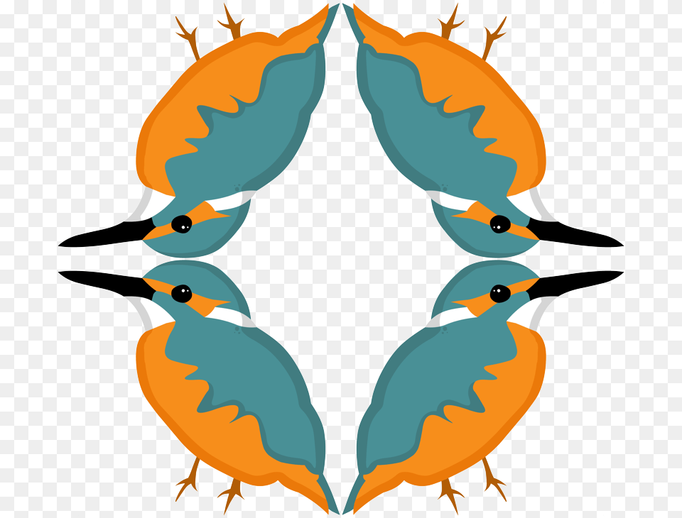 Clip Art, Animal, Beak, Bird, Jay Png