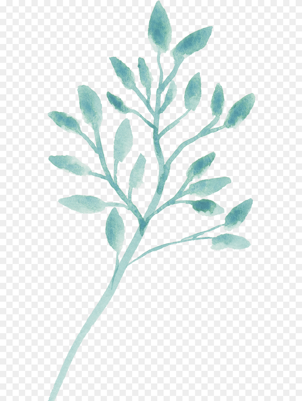 Clip Art, Leaf, Plant, Grass, Flower Png Image