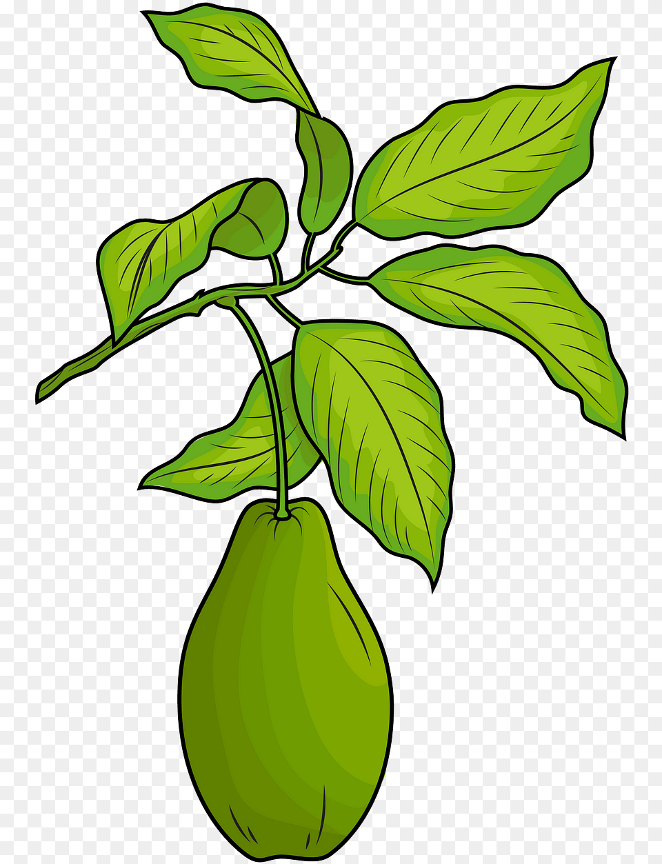 Clip Art, Food, Fruit, Leaf, Plant Png