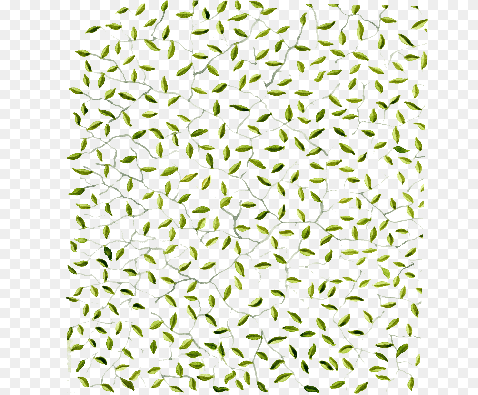 Clip Art, Leaf, Plant, Moss, Pattern Png Image