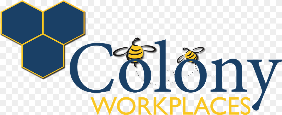 Clip Art, Animal, Bee, Insect, Invertebrate Png