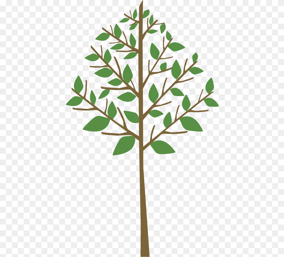 Clip Art, Leaf, Plant, Tree, Potted Plant Free Png