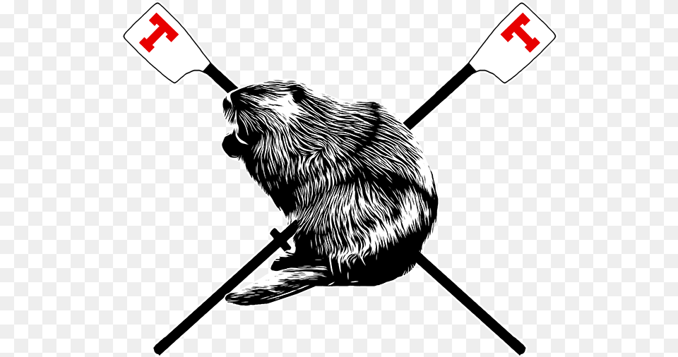 Clip Art, Animal, Rodent, Mammal, Wildlife Free Transparent Png