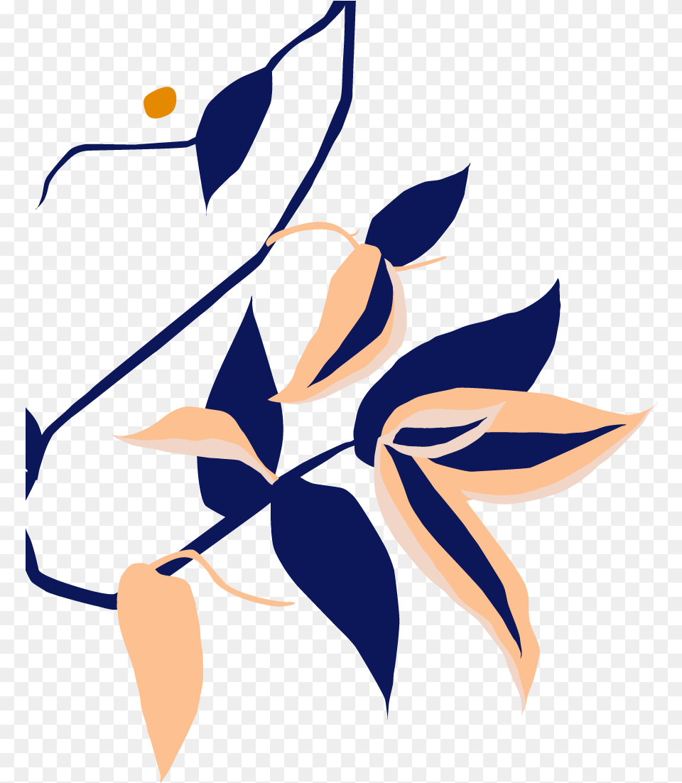 Clip Art, Graphics, Leaf, Plant, Floral Design Png
