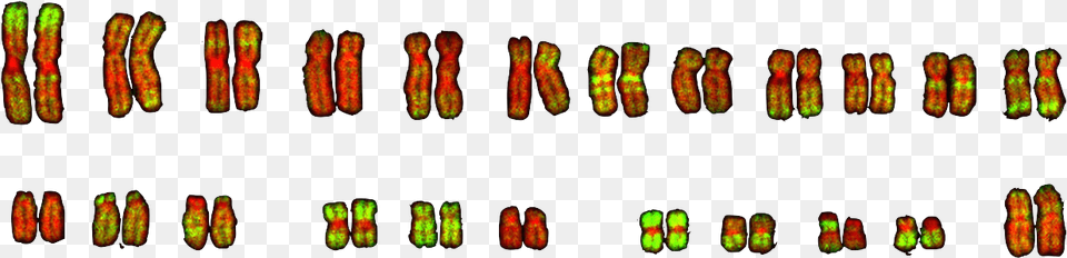 Clip Art Png Image