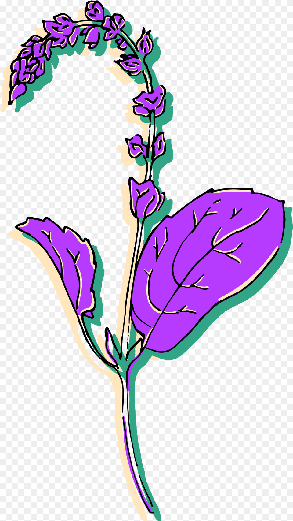 Clip Art, Purple, Flower, Plant, Lavender Free Transparent Png