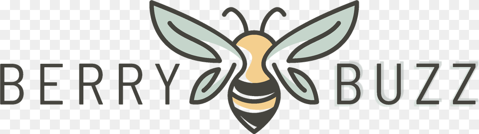 Clip Art, Animal, Bee, Insect, Invertebrate Png Image