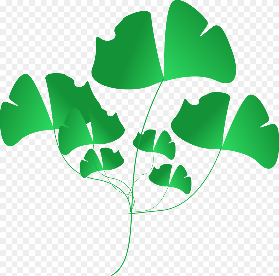 Clip Art, Leaf, Plant, Green, Person Png Image