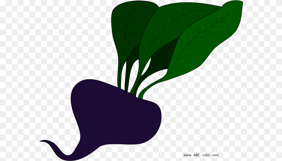 Clip Art, Food, Produce, Plant, Leafy Green Vegetable Free Png