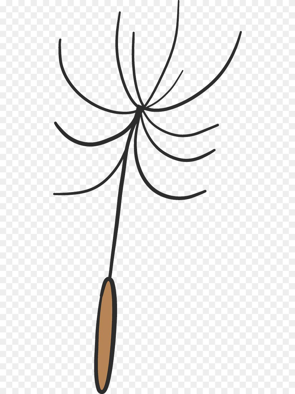 Clip Art, Flower, Plant Free Png