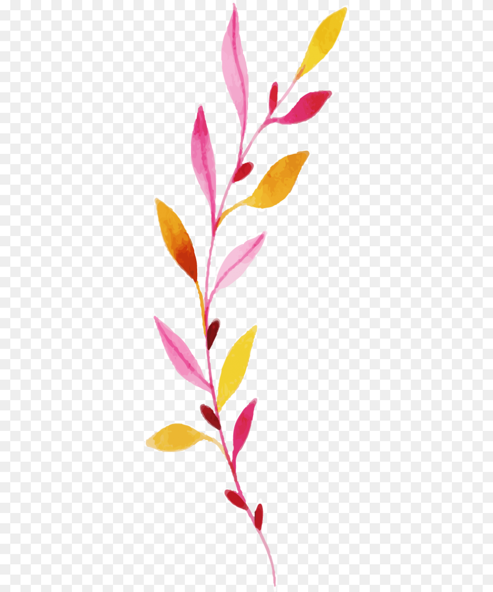 Clip Art, Leaf, Petal, Plant, Flower Png Image
