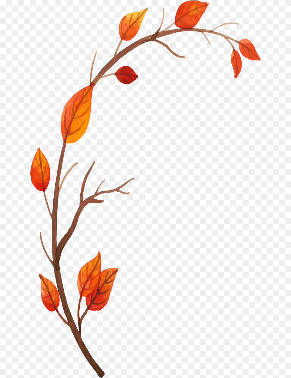 Clip Art, Floral Design, Graphics, Leaf, Pattern Png Image