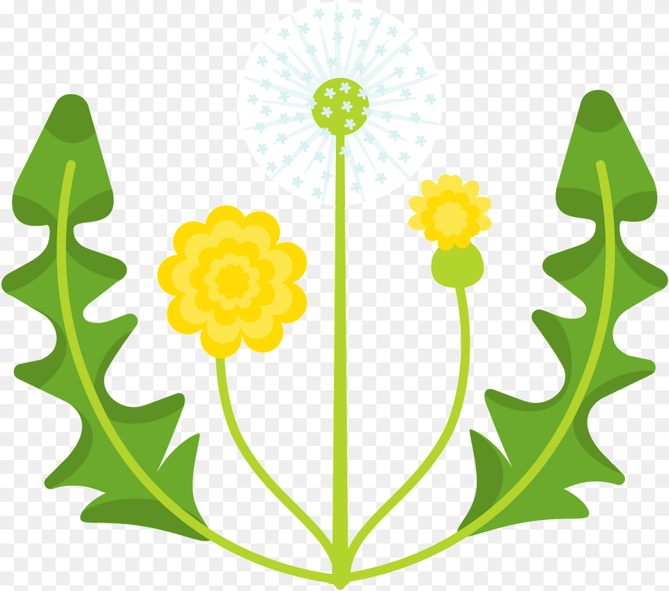 Clip Art, Flower, Plant, Dandelion, Chandelier Free Png