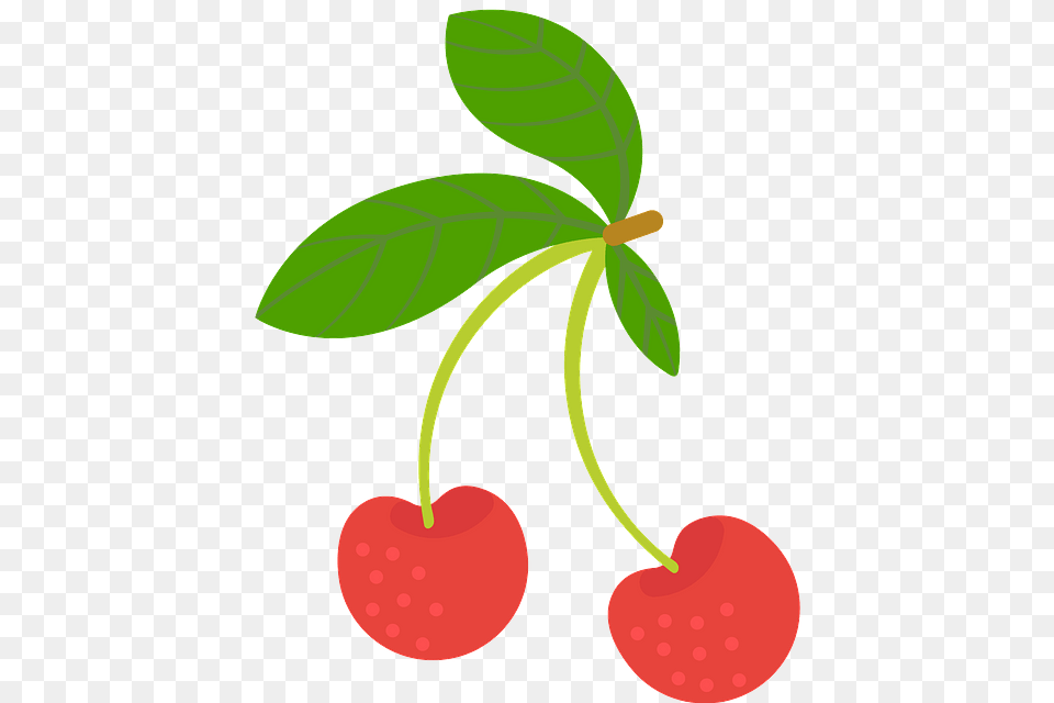 Clip Art, Cherry, Food, Fruit, Plant Free Png