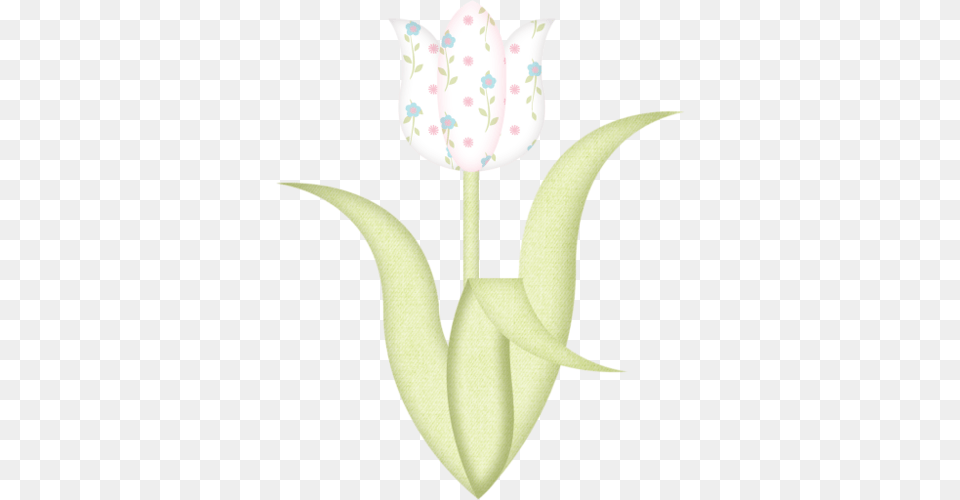 Clip Art, Flower, Petal, Plant, Tulip Free Png