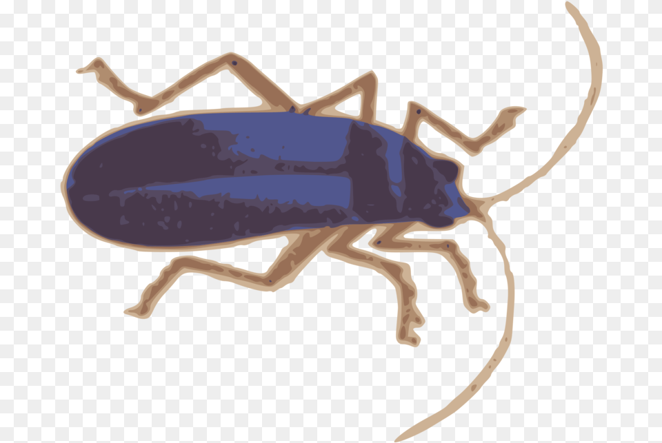 Clip Art, Animal, Person Free Png
