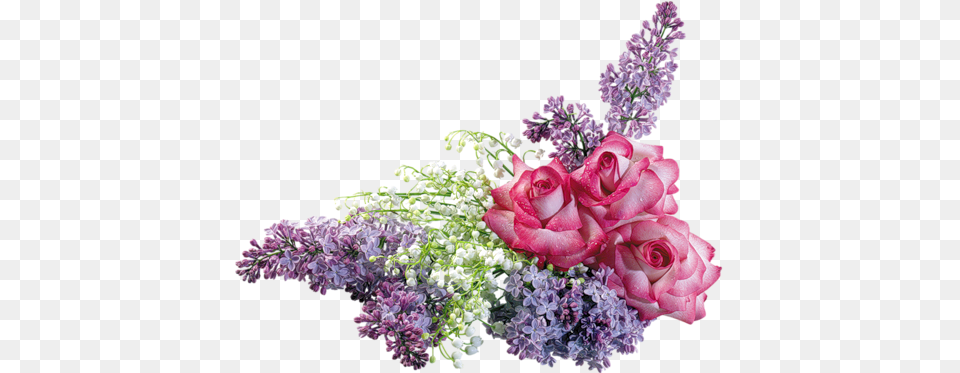 Clip Art 8 March International Day, Flower, Flower Arrangement, Flower Bouquet, Plant Free Png