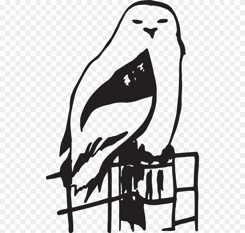 Clip Art, Stencil, Person, Animal, Bird Free Png Download