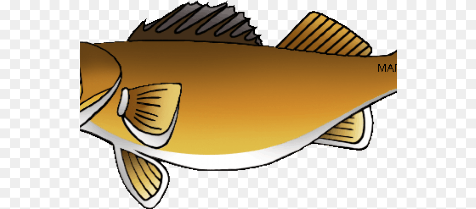 Clip Art, Animal, Sea Life, Fish, Perch Png Image