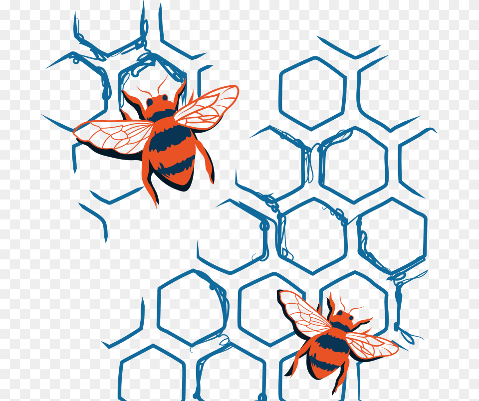 Clip Art, Animal, Bee, Insect, Invertebrate Free Png Download