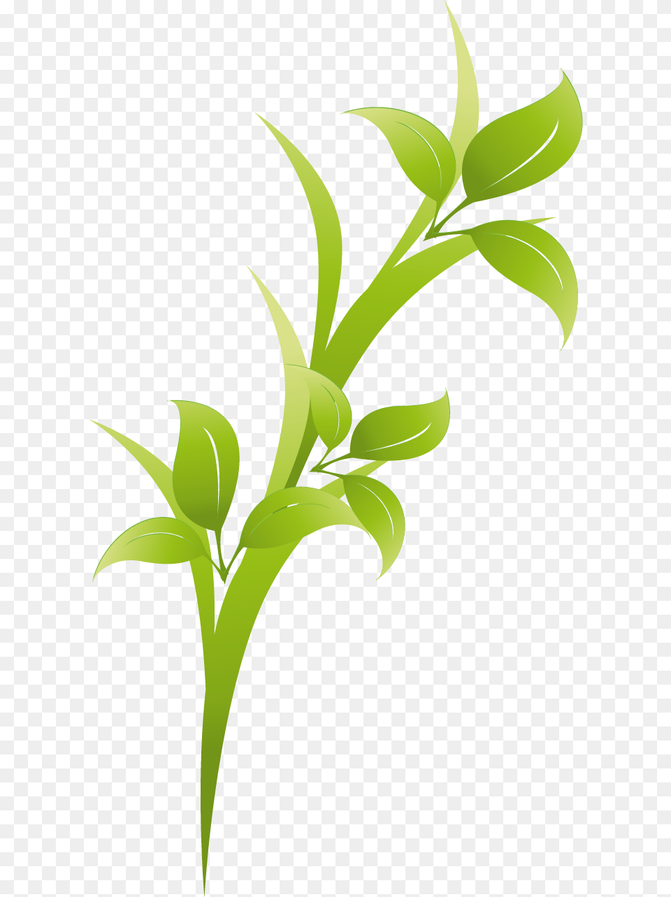 Clip Art, Green, Herbal, Herbs, Leaf Png Image