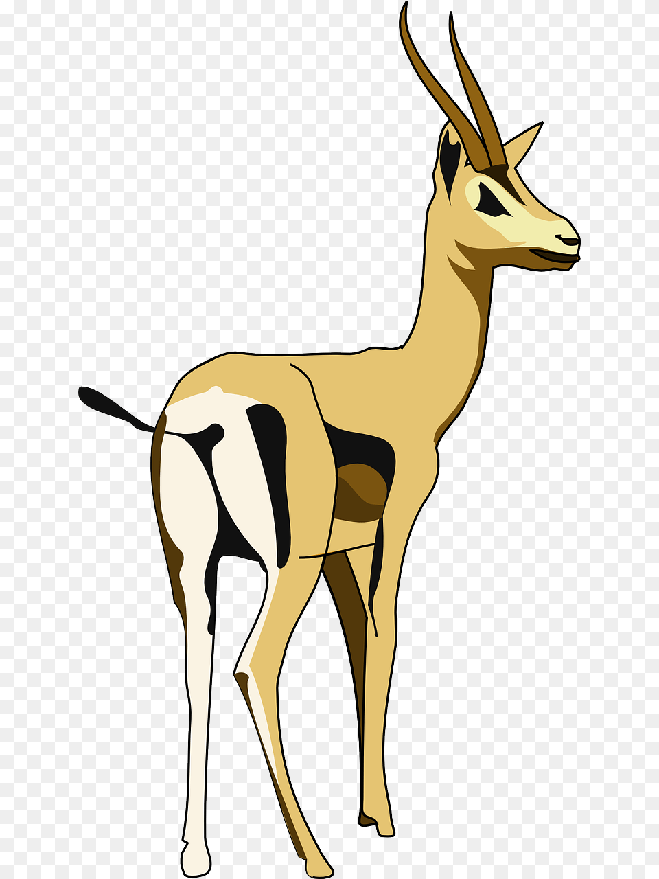 Clip Art, Animal, Antelope, Gazelle, Mammal Free Png Download