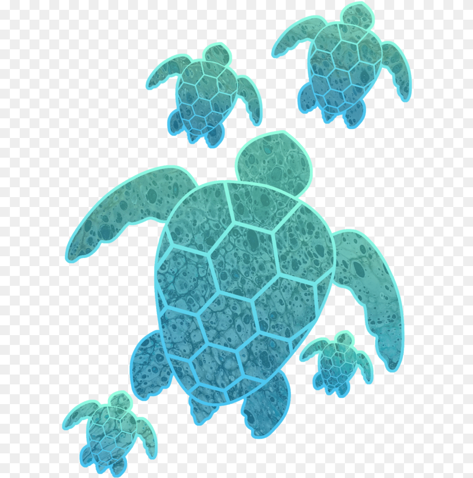Clip Art A Family Of Turtles Kemp39s Ridley Sea Turtle, Animal, Reptile, Sea Life, Sea Turtle Free Png