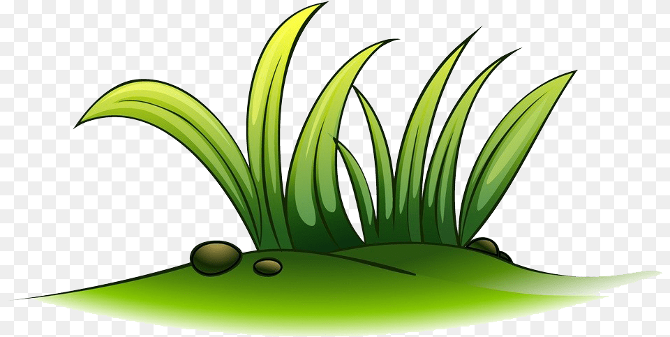 Clip Art A Plant Of Grass Transprent Grass Clipart, Green, Leaf, Graphics, Vegetation Free Transparent Png