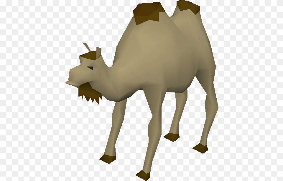 Clip Art Al The Old School Old School Runescape Camel, Animal, Mammal, Person Free Png Download