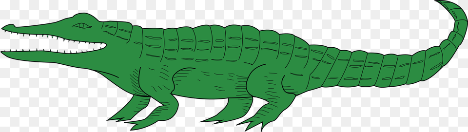 Clip Art Alligator, Animal, Reptile, Crocodile, Fish Free Transparent Png