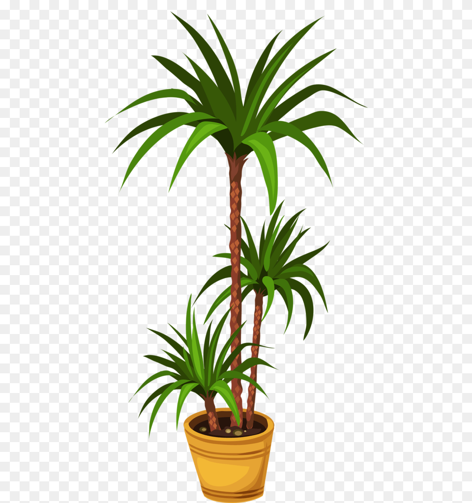 Clip Art And Album, Leaf, Palm Tree, Plant, Tree Free Png Download