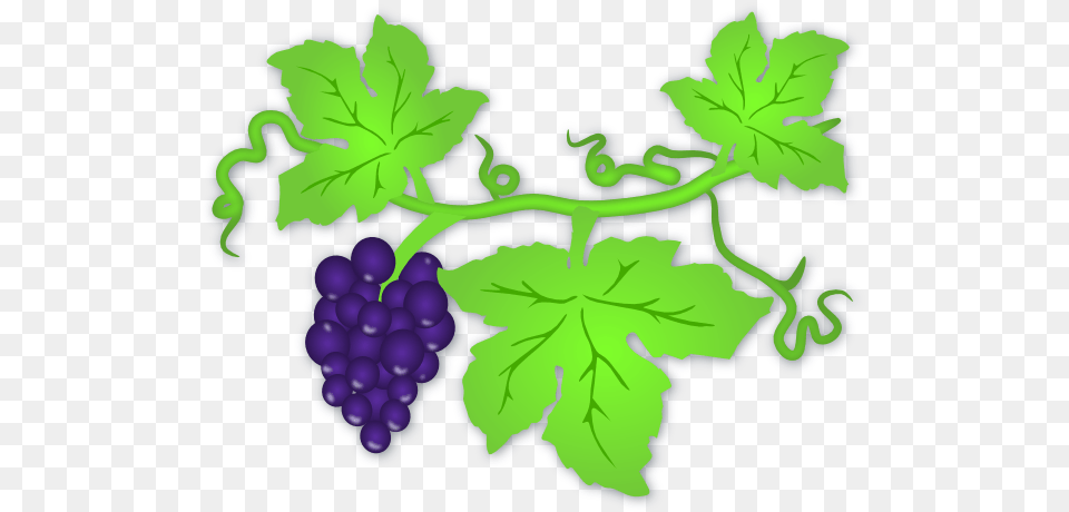 Clip Art And Grapevine Trellis Clipart, Food, Fruit, Plant, Produce Free Png