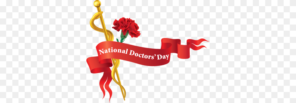 Clip Art And Information About National Doctors39 Day National Doctors Day 2017, Flower, Plant, Rose, Dynamite Free Png Download