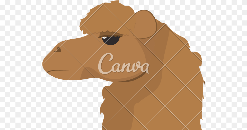 Clip Art Animal To Desert Travel Camel Clipart Head, Mammal, Baby, Person Png Image