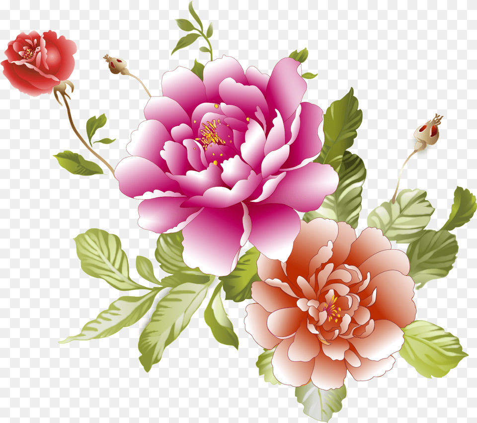 Clip Art Artificial Pink Peonies, Flower, Plant, Dahlia, Rose Png Image